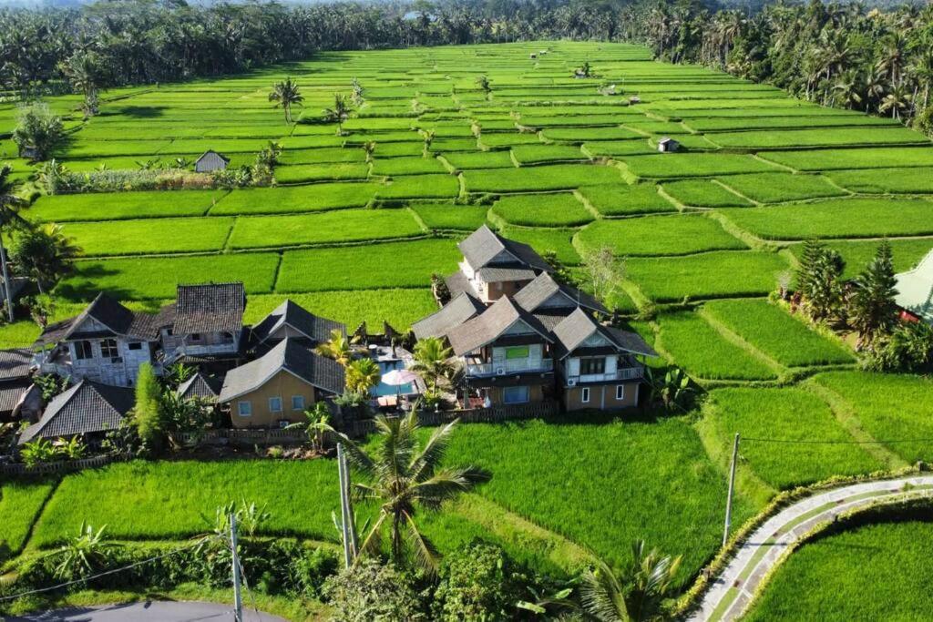Ananda Jj Ubud Resort & Spa Zewnętrze zdjęcie