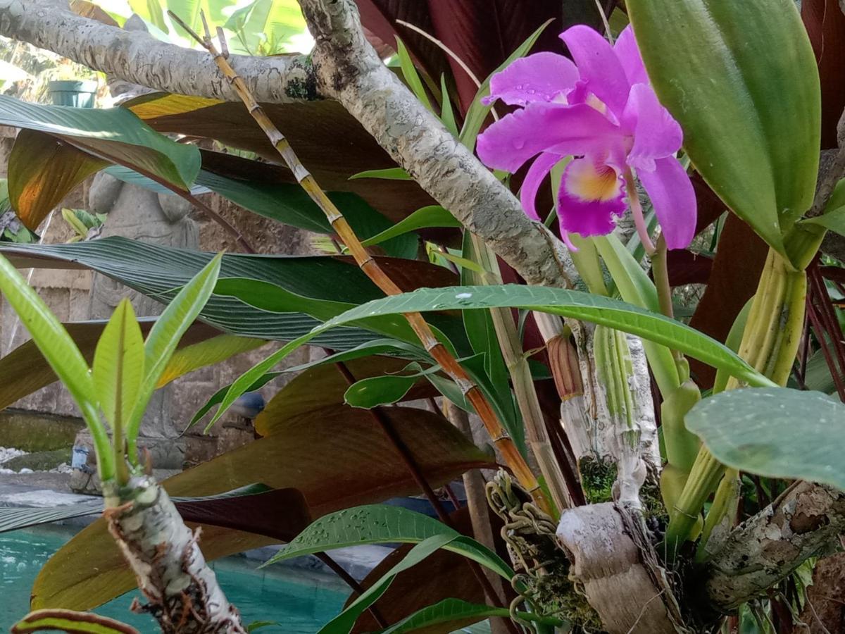 Ananda Jj Ubud Resort & Spa Zewnętrze zdjęcie